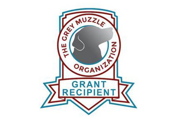 Grey Muzzle Organization