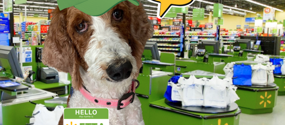 Another Walmart Grant for PPR News Poodle and Pooch Rescue of