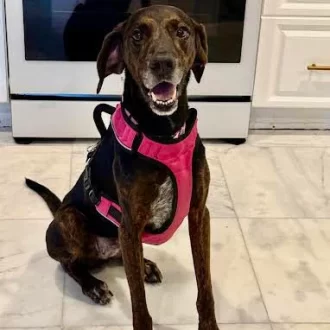 Lydia is Home!
