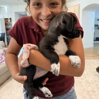 Brynn is Home!