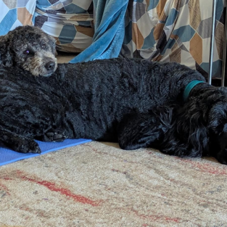 Maggie June is Home!