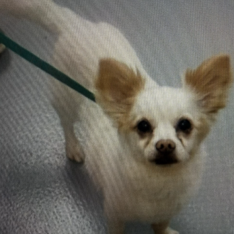 Young-at-heart Yancy