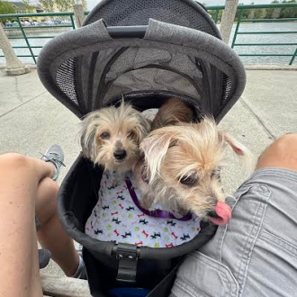Faith and Sylvia are Home!