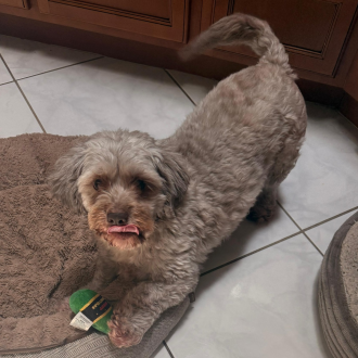 Joyful Jacki