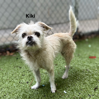 Kind Kiki