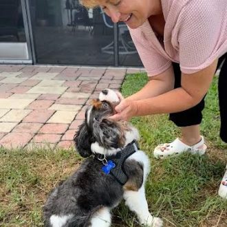 Finnegan is Home!