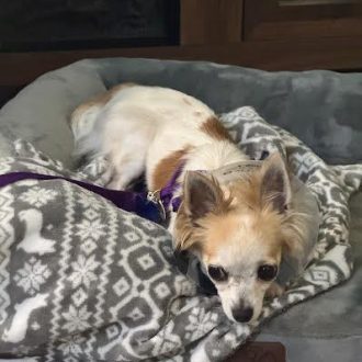 Lily Leigh is Home!