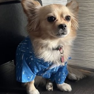 Lovely Lucky