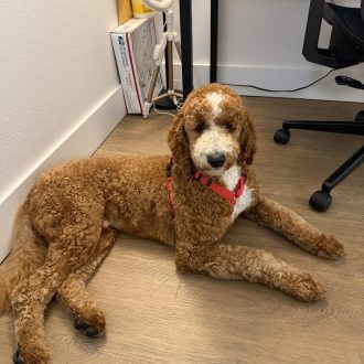 Max is Home!