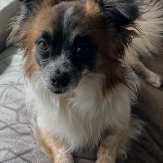 Buddy is Home!